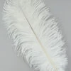 White Ostrich Plume Feather 30cm -PartyPersona Store 17645rs