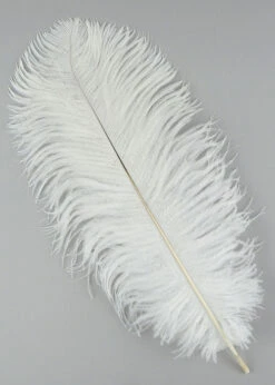 White Ostrich Plume Feather 30cm