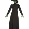 Womens Halloween Wicked Witch Costume -PartyPersona Store 51061rs