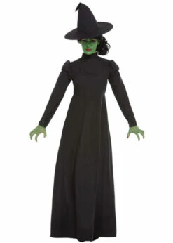 Womens Halloween Wicked Witch Costume
