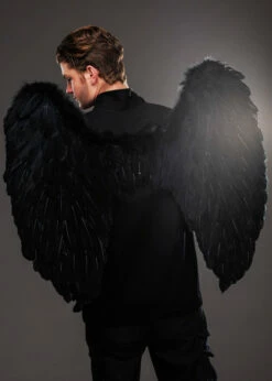 Mens Large Black Feather Gothic Angel Wings -PartyPersona Store 52816 mens large black feather wings 01