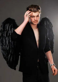 Mens Large Black Feather Gothic Angel Wings -PartyPersona Store 52816 mens large black feather wings 02