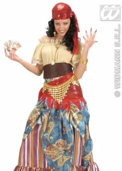 Harem Girl Belly Dancer Gold Coin Belt -PartyPersona Store 6955Grs 01