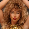Womens Tina Turner Style Brown Rock Star Wig 1 Womens Tina Turner Style Brown Rock Star Wig -PartyPersona Store 72103 brown tina turner wig