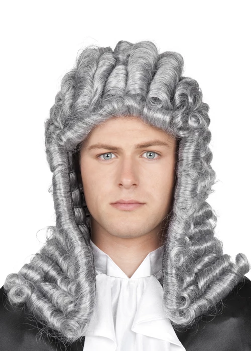 Adult Grey Fancy Dress Judge Wig 3 Adult Grey Fancy Dress Judge Wig