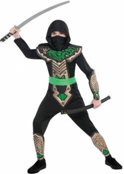 Childrens Size Dragon Slayer Ninja Costume