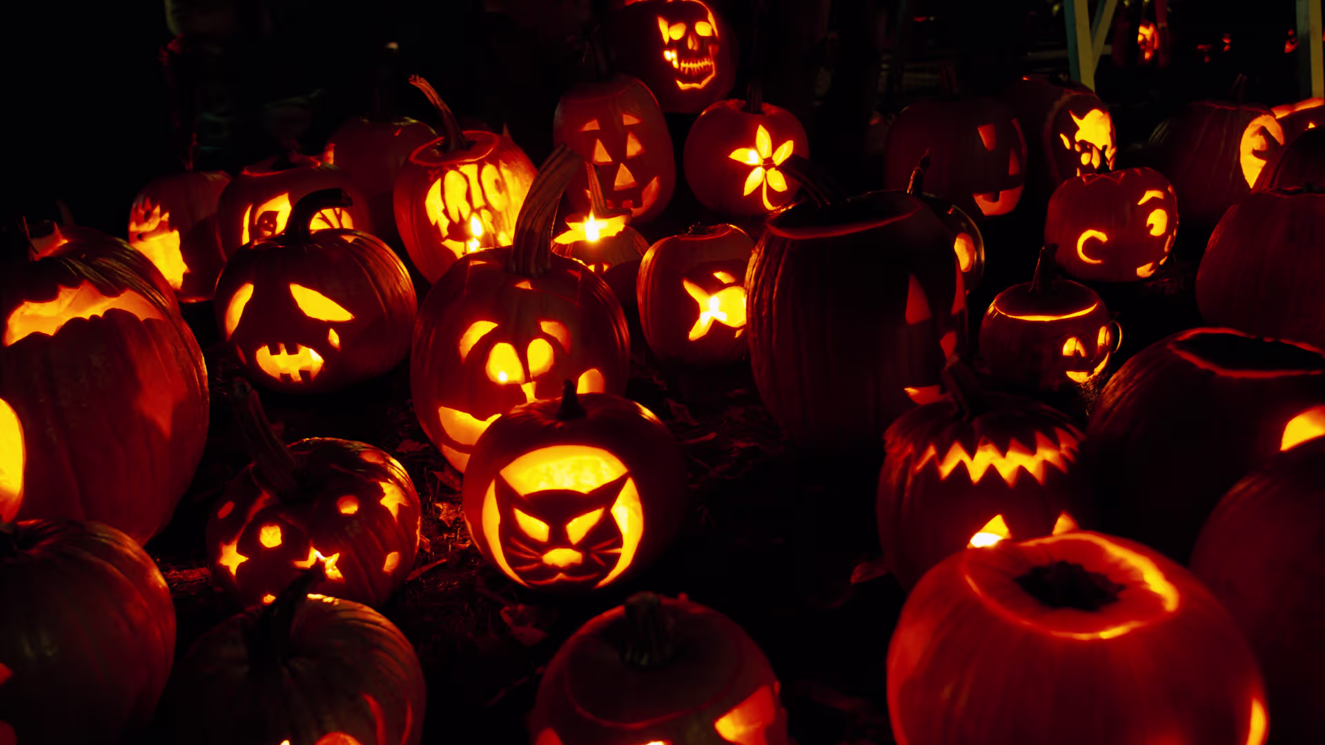 Front Page -PartyPersona Store jackolanternfestival